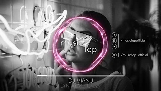 DJ Vianu - Driving Me Crazy