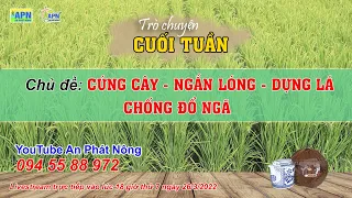 APN - TRÒ CHUYỆN CUỐI TUẦN KỲ 6 - CỨNG CÂY, ĐỨNG LÁ, CHỐNG ĐỔ NGÃ #anphatnong