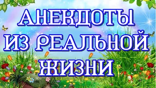 Анекдоты и смешные высказывания детей из реальной жизни