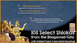 108 Most Important Shlokas of Bhagavad Gita - With Narrated Meanings