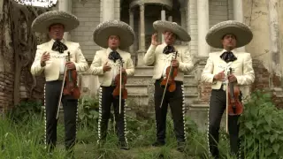 Mariachi Vargas De Tecalitlán - Prometo