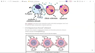 FISIOLOGIA - ANATOMIA SISTÊMICA I - SISTEMA IMUNOLÓGICO