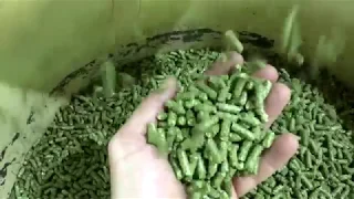 Получение гранул из травы (люцерны)