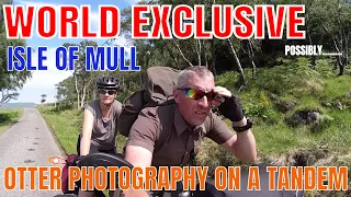 WILDLIFE PHOTOGRAPHY- OTTER SPOTTING ON A TANDEM- MULL PHOTO TRIP