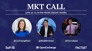 MKT Call with Guy Adami, Dan Nathan and Liz Young: How to Navigate Stock Market Volatility