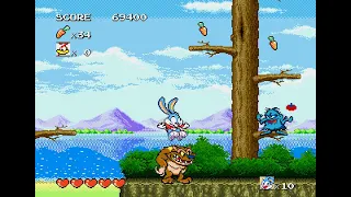 Mega Drive Longplay [251] Tiny Toon Adventures: Buster's Hidden Treasure (US)