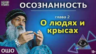 2. О людях и крысах. ОШО. ОСОЗНАННОСТЬ