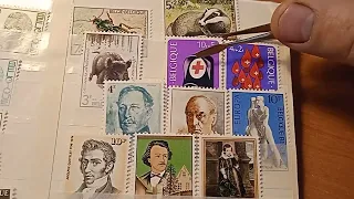 Много марок Бельгии подарки от Сергея. Филателия марки хобби stamp philately hobby