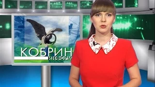 Кобрин-информ. Новостной выпуск за 16.08.2015