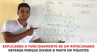 Explicando o funcionamento de um Rotacionado - Entenda porque dividir o pasto em piquetes