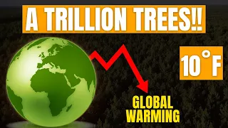 What If We Planted A Trillion Trees? | Reversing The Greenhouse Effect!