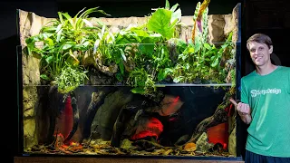 HUGE 350 Gallon Dripwall Paludarium is DONE (Build Part 3)