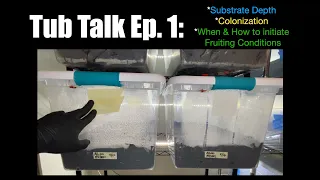 Tub Talk Ep. 1: Substate Depth/Colonization/When & How To Initiate Fruiting Conditions