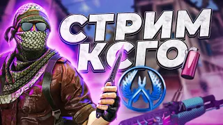 👑👾CТРИМ ПО КС ГО /  CS:GO С ДРУЗЬЯМИ,  КАТАЕМ В ММ / C ПРАЙМОМ!!! )👾👑