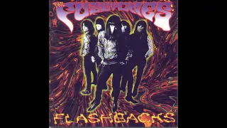 The Fuzztones – Flashbacks-Full CD, Compilation