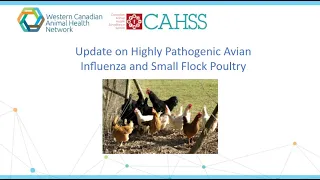 Update on Highly Pathogenic Avian Influenza (HPAI) and Small Flock Poultry