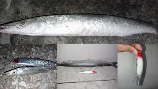 D1 SINKING MINNOW REDHEAD 28 & 23grams CATCH BARRACUDA