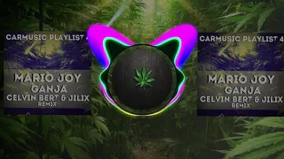 Mario Joy - Ganja (Celvin Bert & Jilix remix)