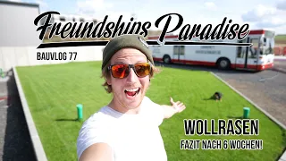 🤩 Fazit nach 6 Wochen! Wie gut ist der WOLLRASEN auf Freundships Paradise gewachsen? Bauvlog 77