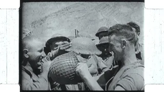 Castle Films, News Parade: Axis Smashed in Africa (1943?) 16mm Silent film with music added.