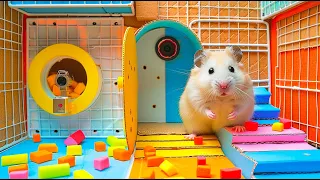 Dangerous Challenge  Hamster Battles Fire Wall in Prison Maze 🐹 Hamster Maze