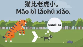 Chinese Conversation: the comparative word in Chinese: 比(bǐ)| Learn Chinese Online 在线学习中文 | L40 我比他高