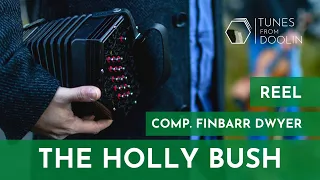 THE HOLLY BUSH (Reel) (Comp. Finbarr Dwyer) | Irish Music Tunes on Concertina 🎵☘️