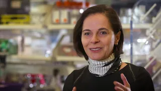 Dr. Yasmine Belkaid's Research on the Microbiome's Role in Immune Regulation
