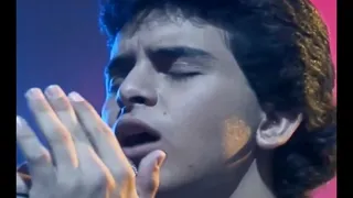 Nothing's Gonna Change My Love For You - Glenn Medeiros (1987) HD Performance