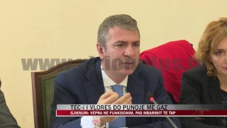 TEC-i i Vlorës do punojë me gaz - News, Lajme - Vizion Plus