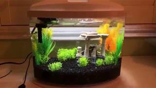 Setting up the Aqueon 5 Gallon Minibow Aquarium Kit