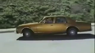 Diary Of A Teenage Hitchhiker (tv 1970's)