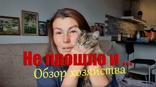 Обзор хозяйства.  Последние новости// Юлия Артуровна влог