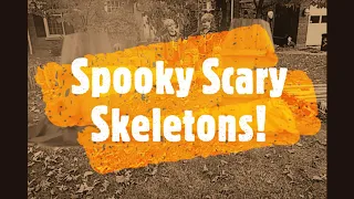 Our 2020 Halloween Music Video! Spooky Scary Skeletons (Glenn Gatsby Remix)