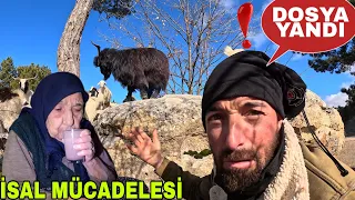 DOSYA YANDI ! KORKULAN İSAL MÜCADELESİ~LEZİZ BALIKLAR ~ YENİ EL ARABASI~DONDURMALI SÜT