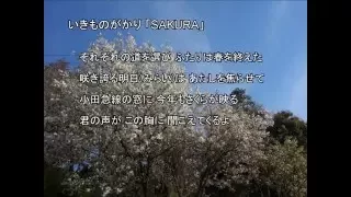 いきものがかり「SAKURA」 自作カラオケ