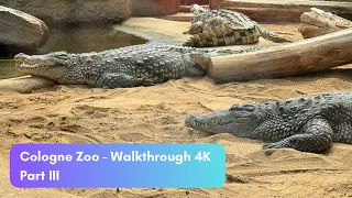 Cologne Zoo Silent Walk in 4K - Part 3 | Cologne, Germany, April 2024