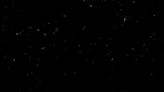 Huge Dust Particles Overlay - Free HD Vfx Footage