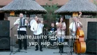 Гурт Дриг - Цвіте, цвіте черемшина