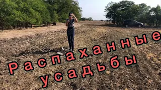 Поиск монет на распаханных усадьбах.