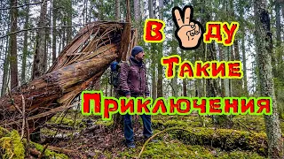 Непоходное Время Или Топай Ногами