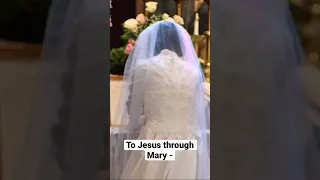 First vows of Sr. Mary Anne. #tradition #catholic #religion #nuns #sistersmicm #ihmstillriver