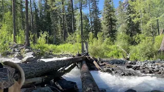 Алтай. Одна из троп на озере Кучерла.