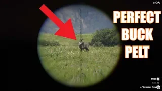 Red Dead Redemption 2 - Perfect Buck Pelt Location