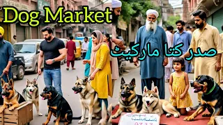 Latest Saddar Dogs Market Karachi Pakistan | Kutta Market | Kohat Dog | 12 May 2024 #babapetsinfo