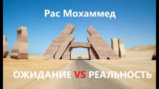 Экскурсия в заповедник Рас Мохаммед. из Шарма 2023