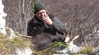 Chamois buck hunt in Slovenia - November 2018