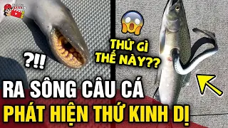 Thả câu 'DÍNH CÁ TO' nhóm người kinh hãi phát hiện 'SINH VẬT LẠ' cố chui vào bụng cá | Tin 3 Phút