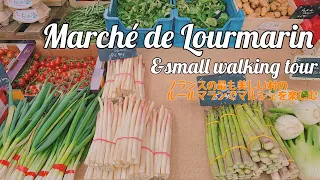 Lourmarin farmer's market in March 2021/spring vegetables and flowers /beautiful village/ provence