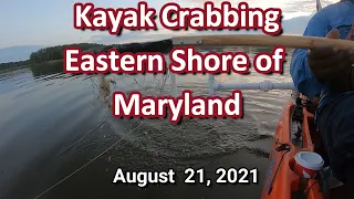 Kayak Crabbing Maryland's Eastern Shore 08-21-2021